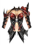 Nightwing Armor